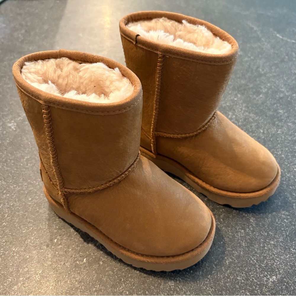 UGG Chestnut Shearling Boots